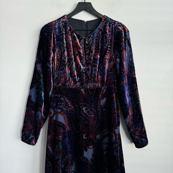 Anthropologie Burnout Velvet Maxi Dress - Picture 6 of 15